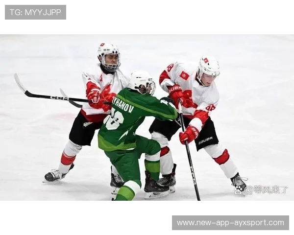 冰球队史级冲突爆发，拳头飞舞如动作电影