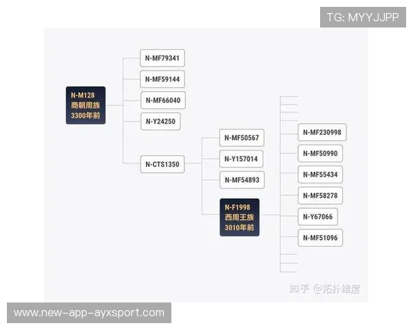 F1赛队人才流动分析:教练与工程师的迁徙图谱 F1赛队人才流动分析:教练与工程师的迁徙图谱