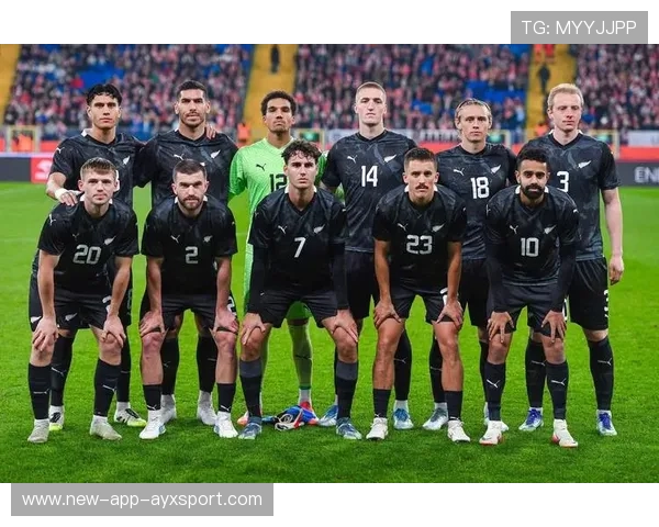 罗马尼亚队集体成长，多名球员在预选赛大幅进步