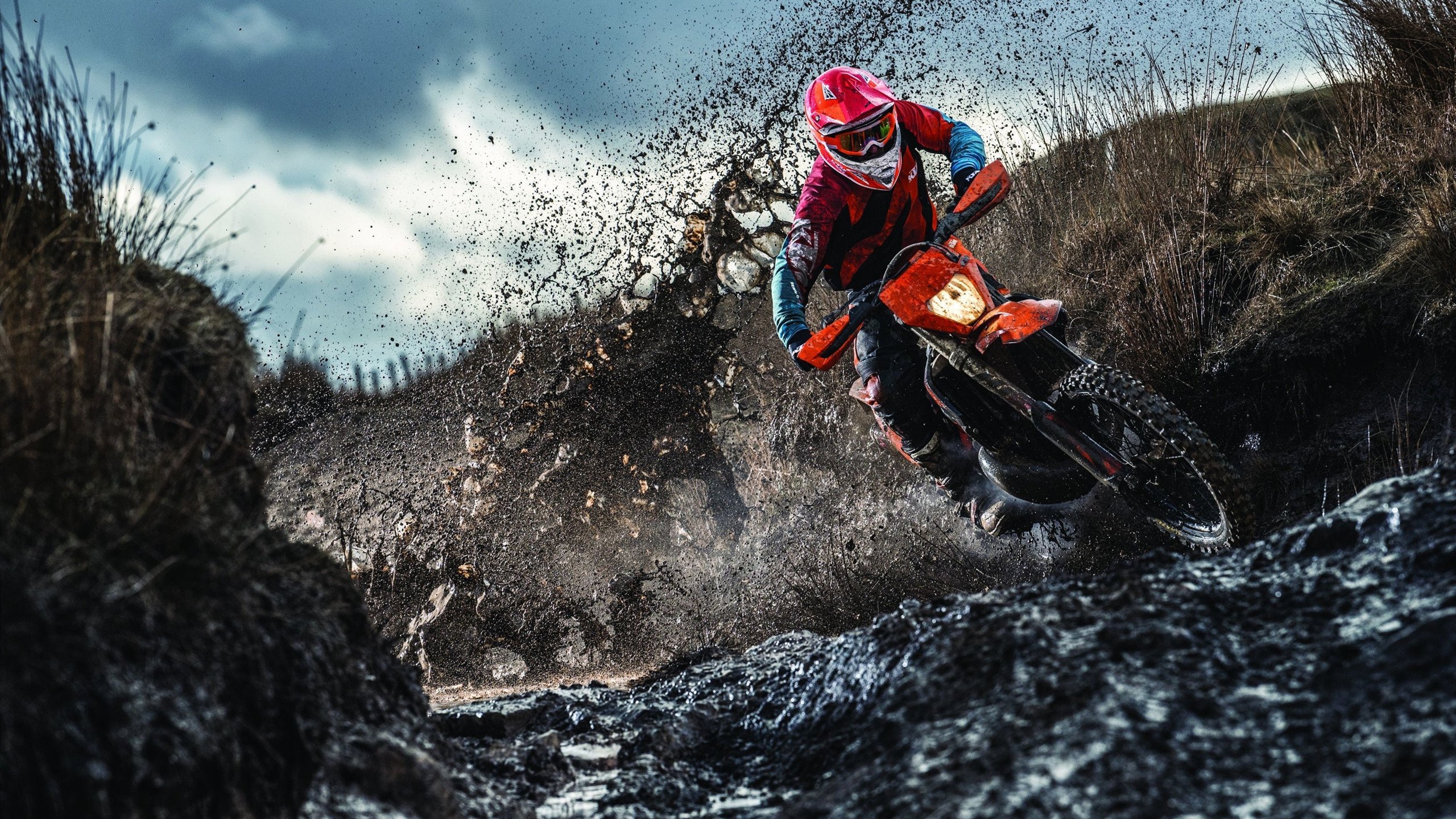 体育文化全球交流